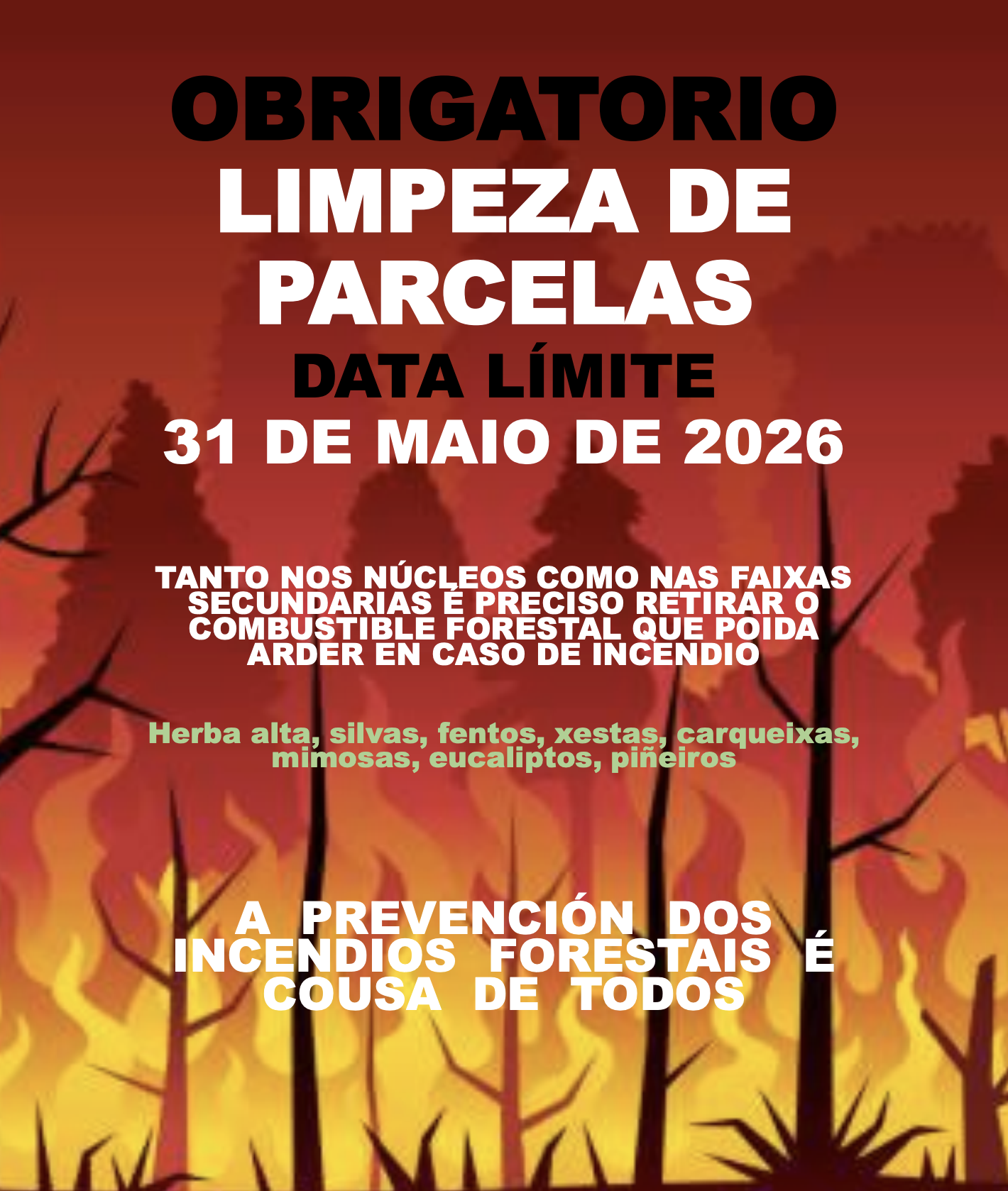 LEMBRADO AS OBRIGAS SOBRE MEDIDAS PREVENTIVAS CONTRA OS INCENDIOS FORESTAIS 2026