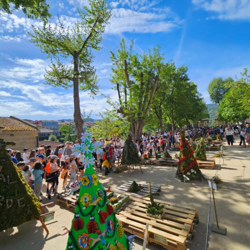 Allariz celebra a tradición dos Maios este 30 de abril
