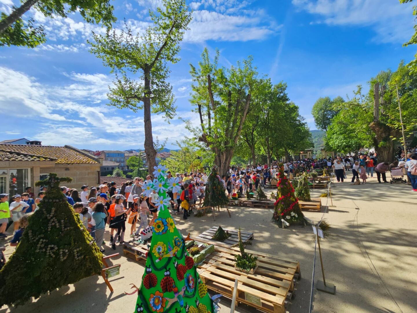 Allariz celebra a tradición dos Maios este 30 de abril